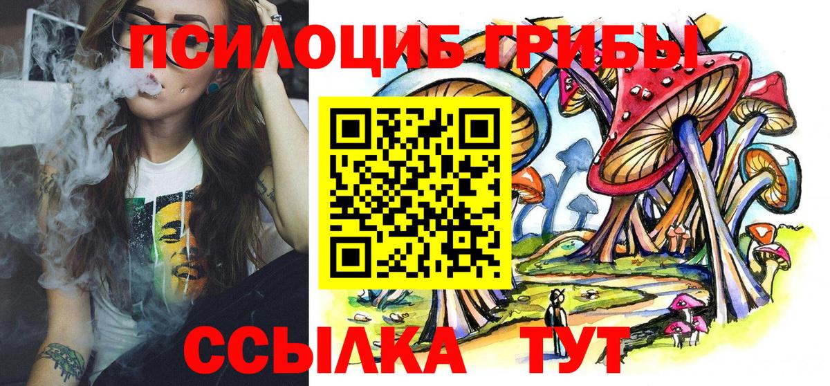 Псилоцибиновые грибы Psilocybine cubensis  закладки  Алексин  Вход с VPN 