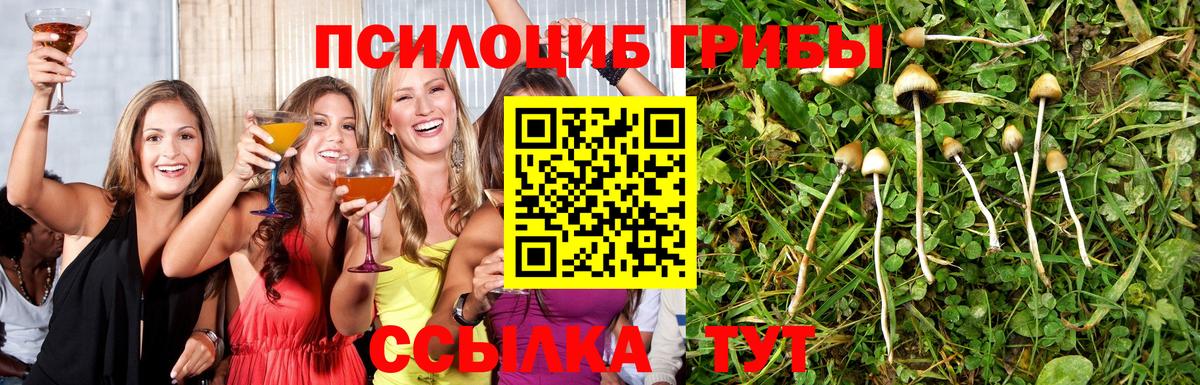 Псилоцибиновые грибы ЛСД Алексин